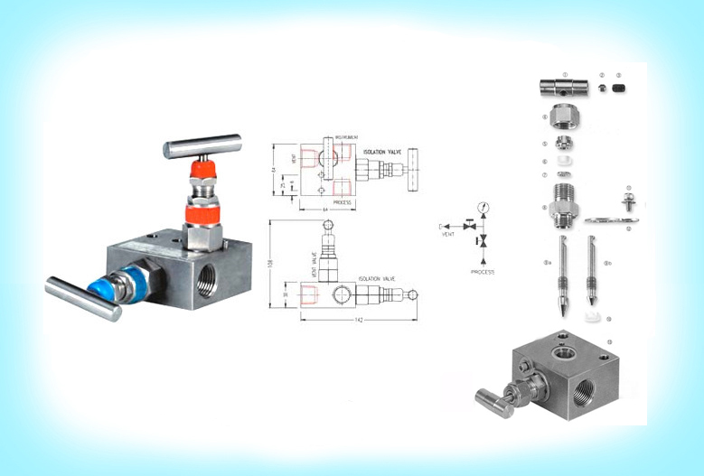 2 Way Manifold Valves