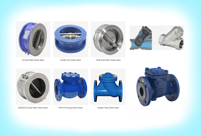 Check Valves