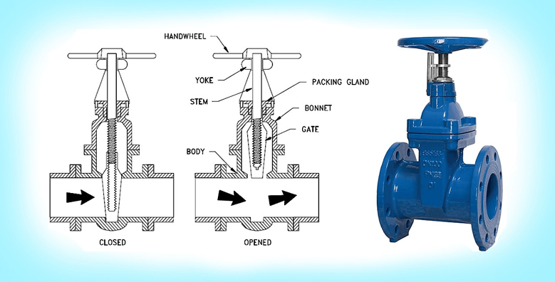 Gate & Globe Valve