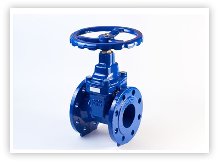 Gate & Globe Valve